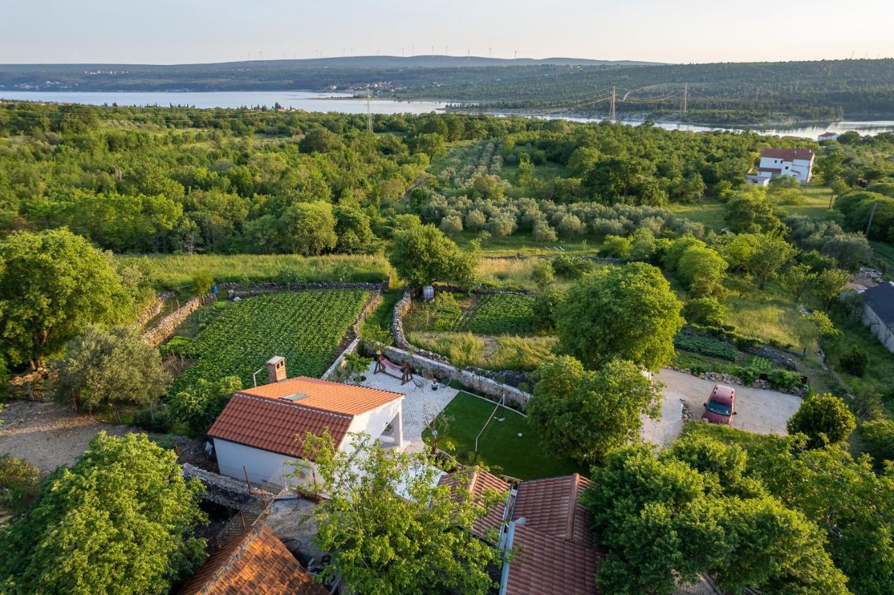 Holiday Home - Villa Thorak Anić エクステリア 写真